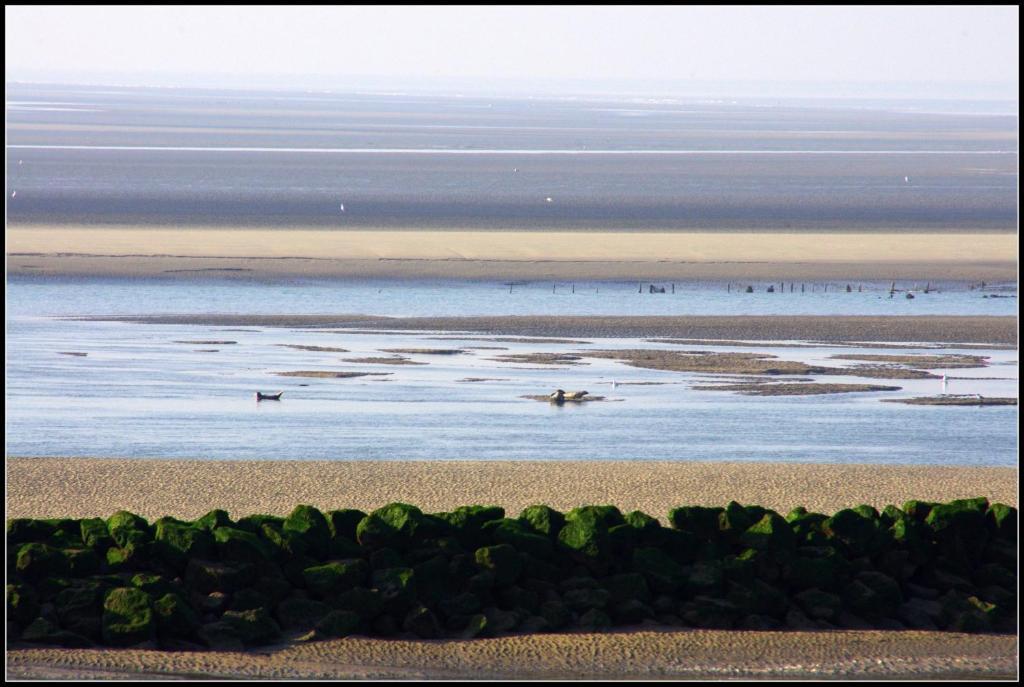 Logis Hotel & Restaurant "Au Gre Du Vent" Berck Exteriér fotografie